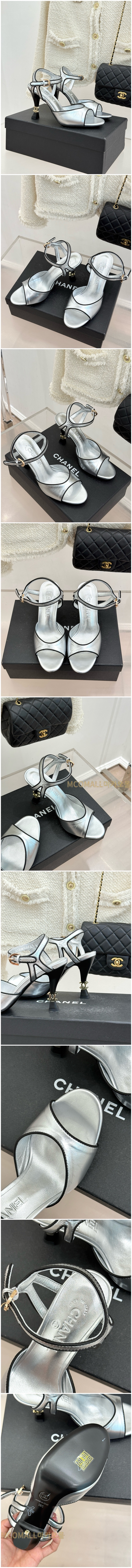 482.jpg